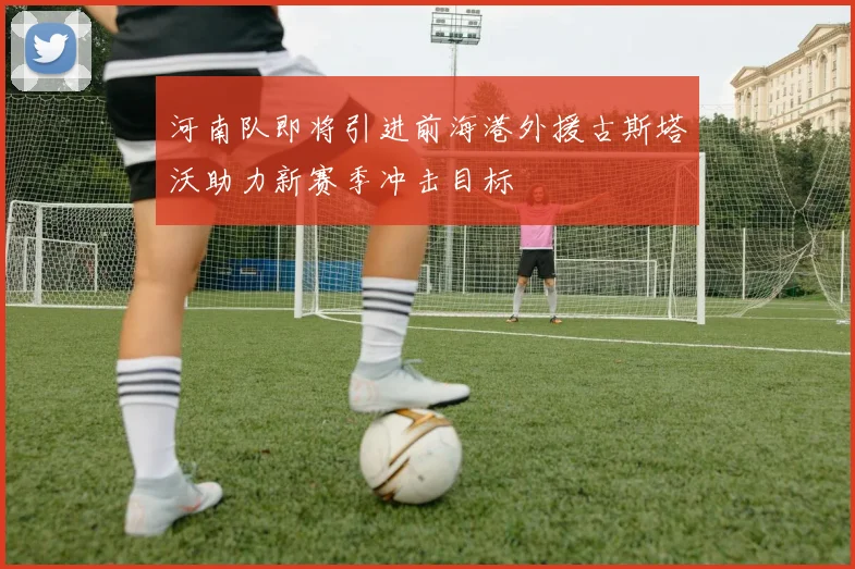 河南队即将引进前海港外援古斯塔沃助力新赛季冲击目标