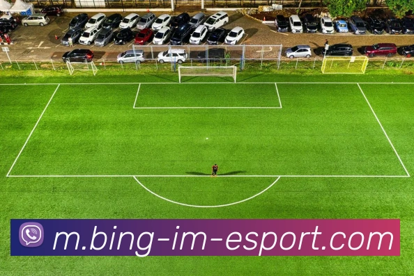 IM电竞APP 高清赛事图